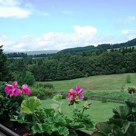 Haus Panorama Апартаменты Санкт-Андреасберг