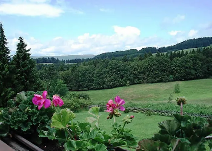 Haus Panorama Daire Sankt Andreasberg